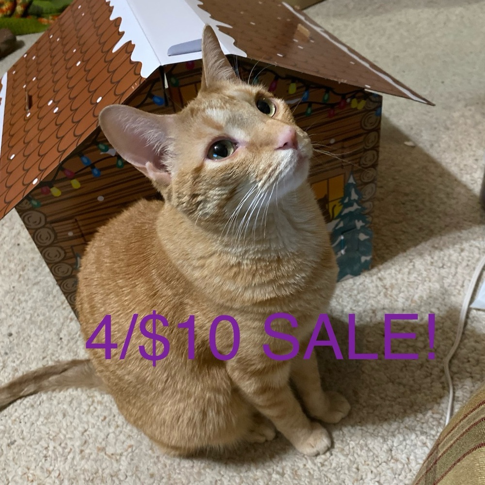 CLOSET SALE 4/$10